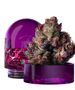 Wiward Trees New Yorker