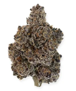 DARK DREAMS Weed